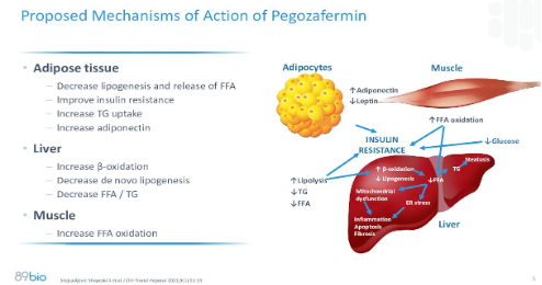 NoureddinNabil's tweet photo. @DrLoomba @ebtapper @JonathanStineMD @NASH_and_coffee @NoureddinMD Emerging data suggests a long-acting FGF21 analogue (pegozafermin) has therapeutic potential for NASH
#89Bio https://t.co/3fLdRIn890