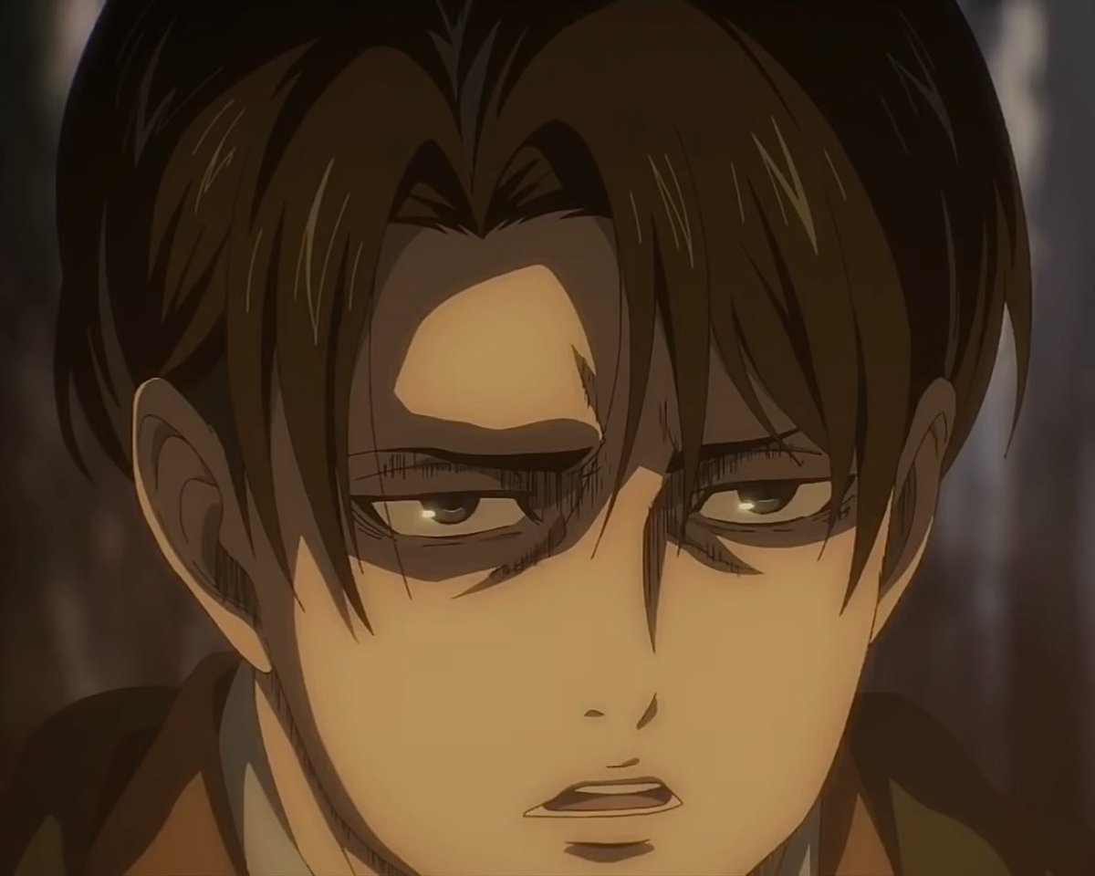 levi archives tweet media