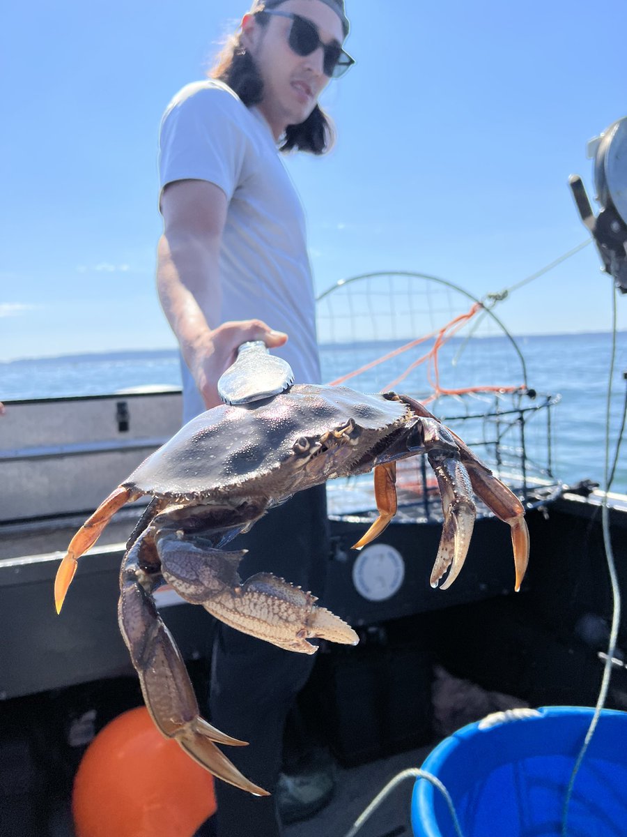 chucko24's tweet photo. How it started VS how it went π¦
#Seattle #crabbing #delicious #crabchowder https://t.co/s0gqRqoK3f