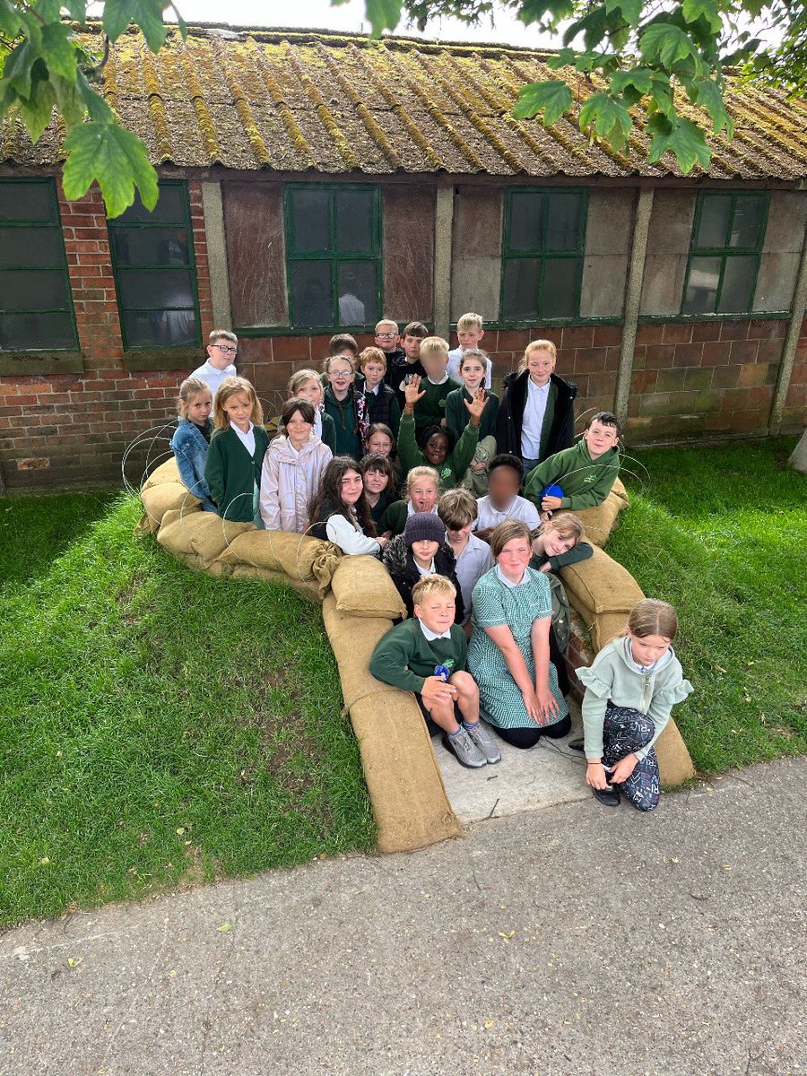 Ash Green Primary tweet media