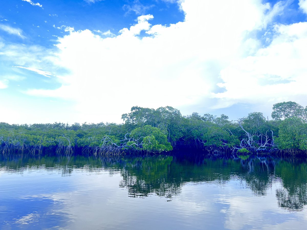 rafa valdez tweet media