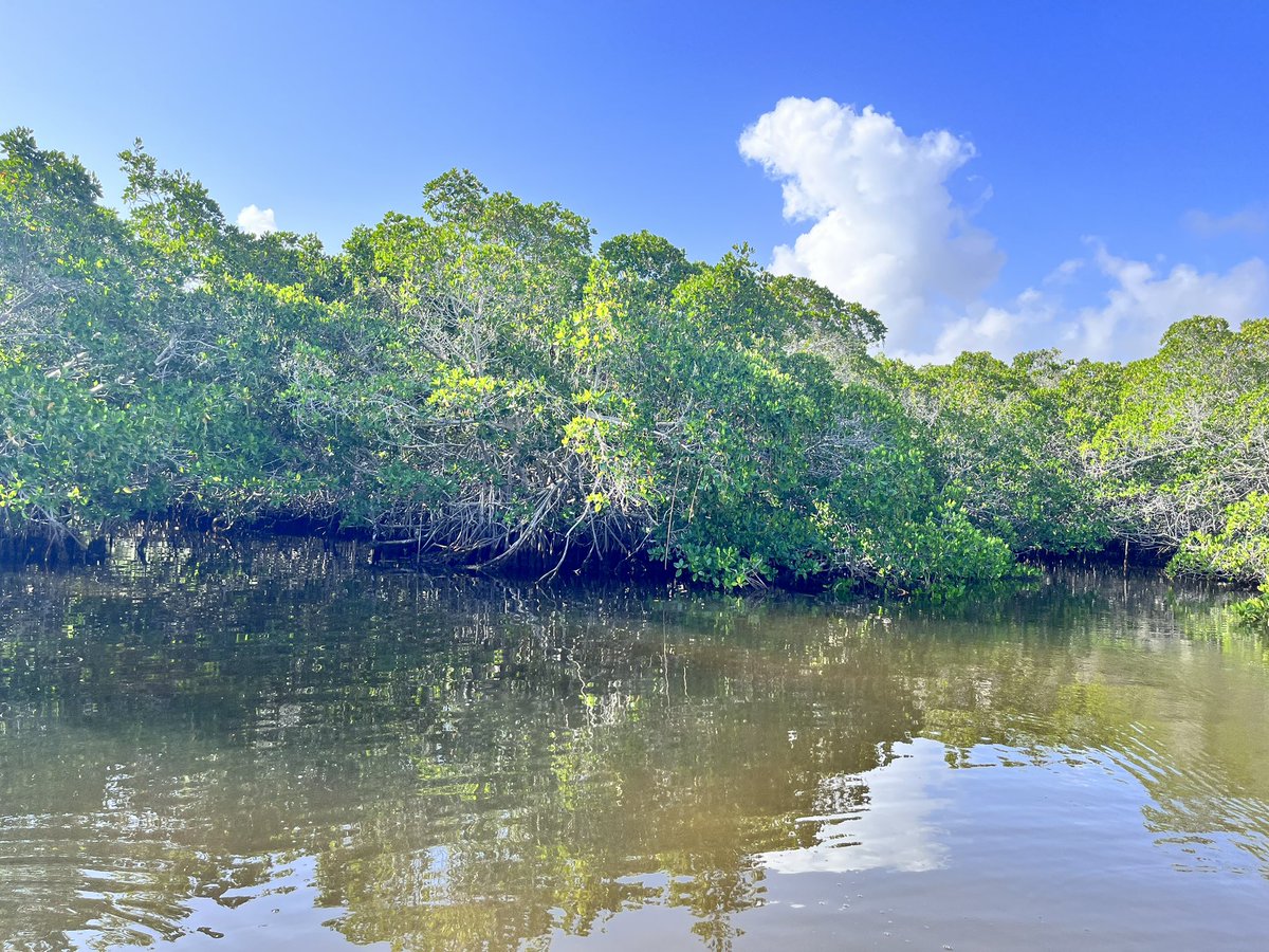 rafa valdez tweet media