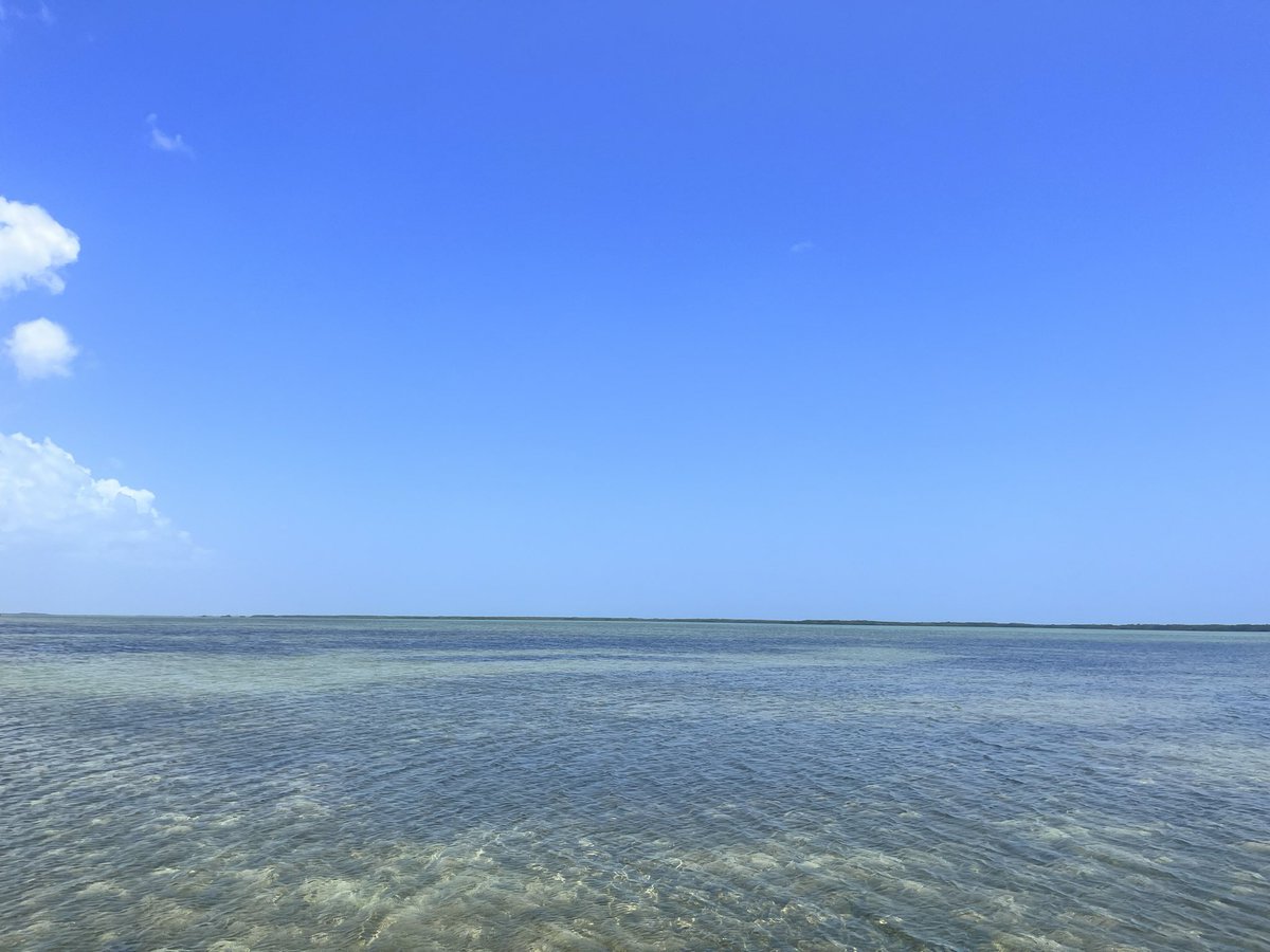 rafa valdez tweet media