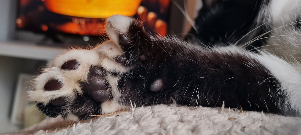 Natalie Joann Giles 🇺🇦 tweet media