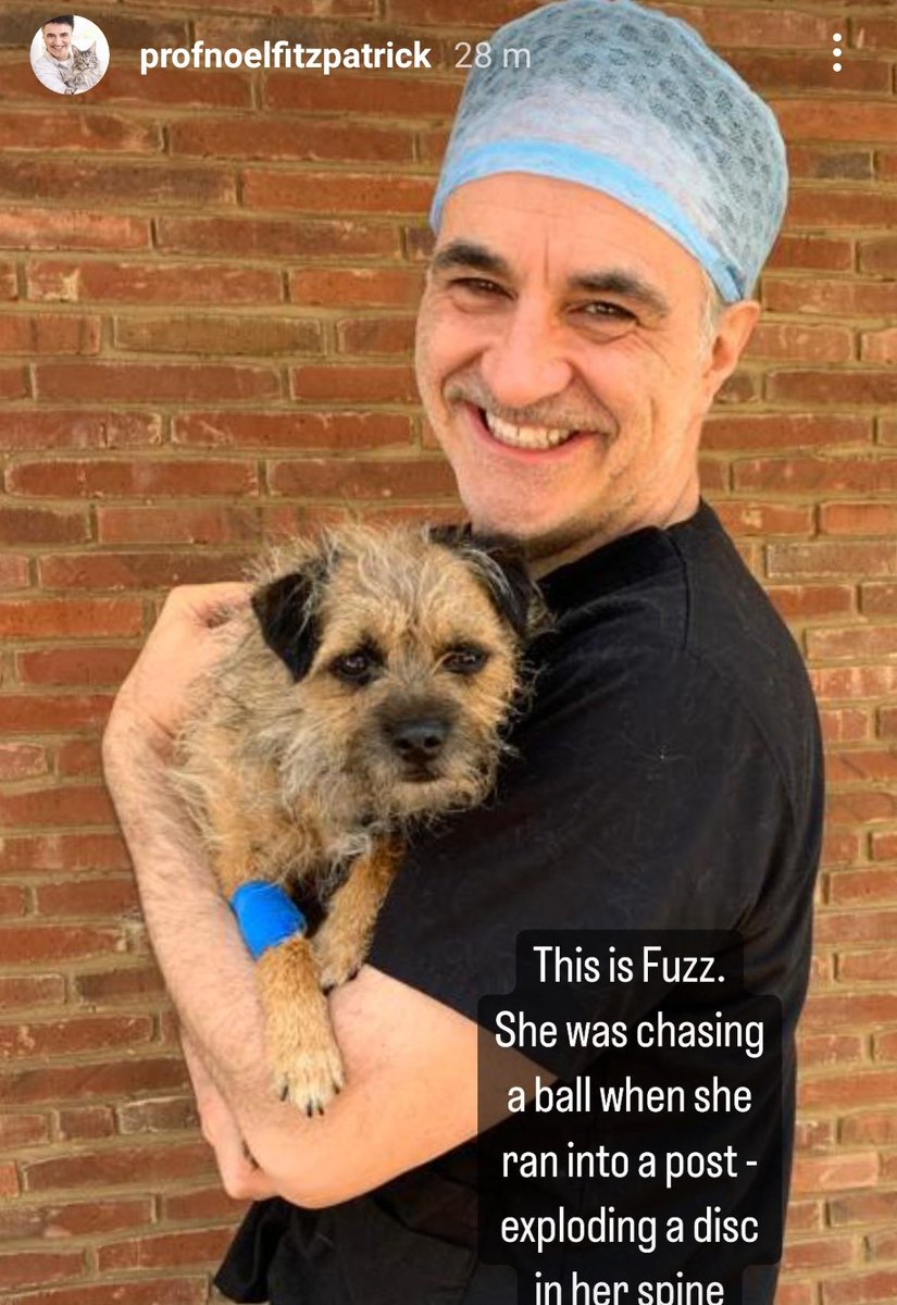 @ProfNoelFitz Wishing You Fuzz Speedy Recovery 🐕💙💪Thankyou Noel😘& the Fitzfamily team for saving herXxx