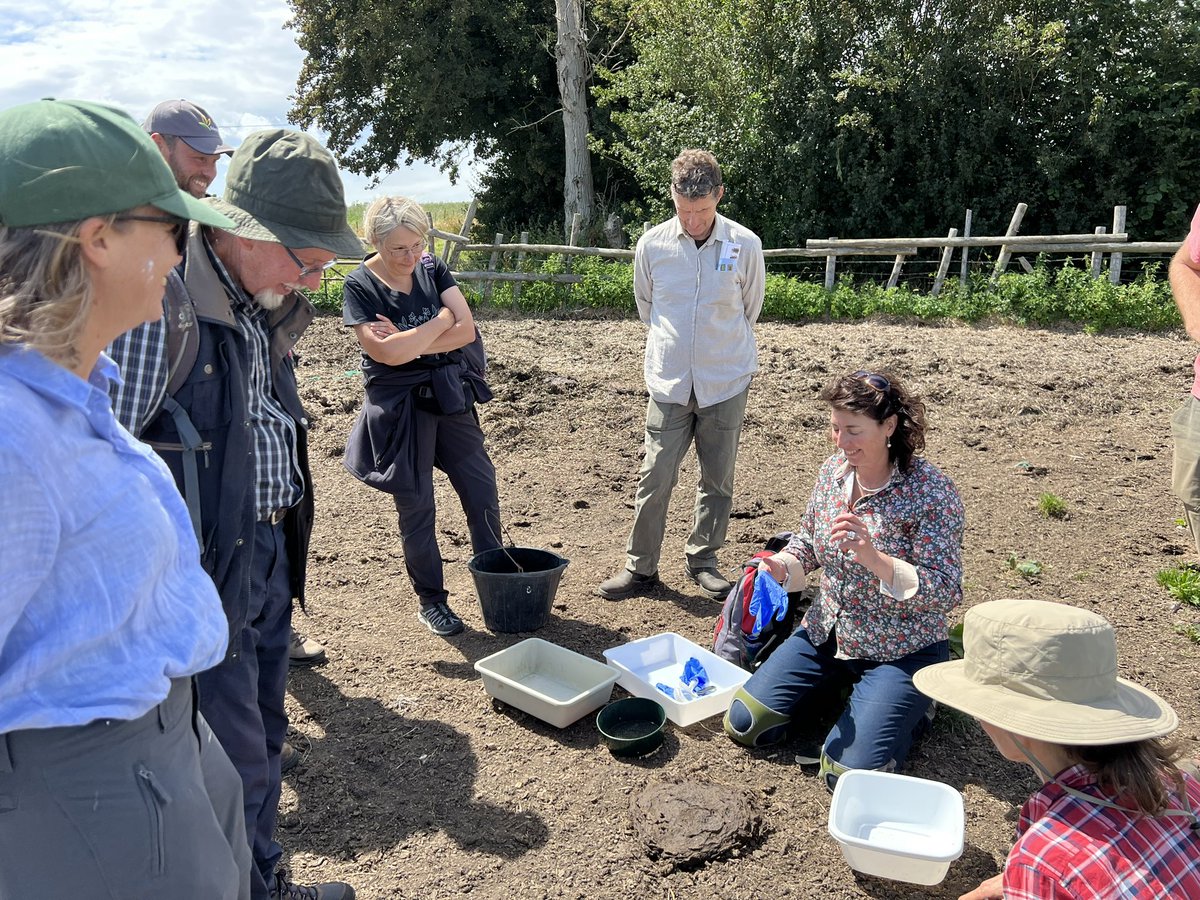 Sally-Ann Spence FRES FLS tweet media