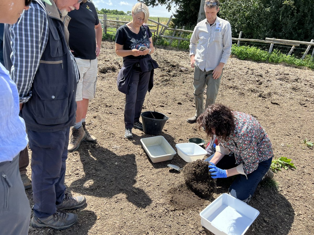 Sally-Ann Spence FRES FLS tweet media