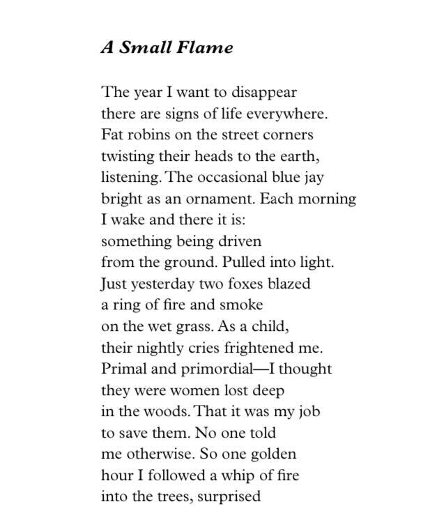 Susan Nguyen 🪞 tweet media