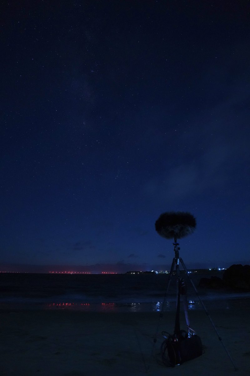 tanjoy sound tweet media