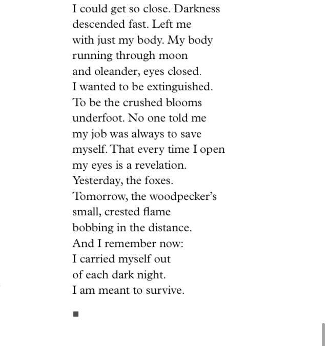 Susan Nguyen 🪞 tweet media