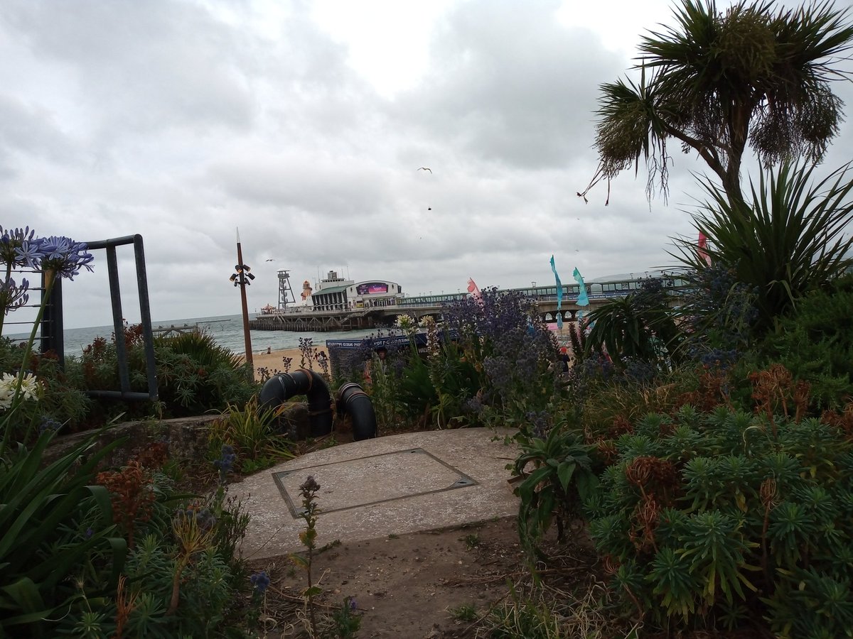 Graham Condie tweet media