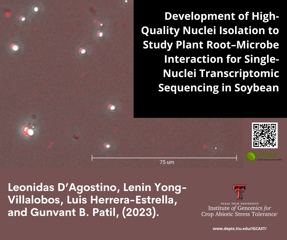 ttuigcast's tweet photo. Single-nucleus RNA sequencing (sNucRNA-seq) is an emerging technology that has been rapidly adopted...want to know more, so, keep reading. #patillab #TTU #igcast @gunvantpatil123
https://t.co/9tnI2PCF5E https://t.co/yPlCS7U98F