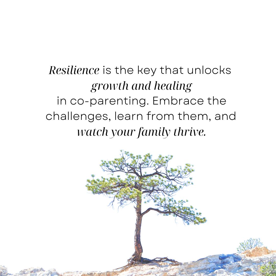 Resilience is the ability to bounce back from adversity and overcome challenges.

#HighConflictSituations #EffectiveDialogue #PositiveCoParenting