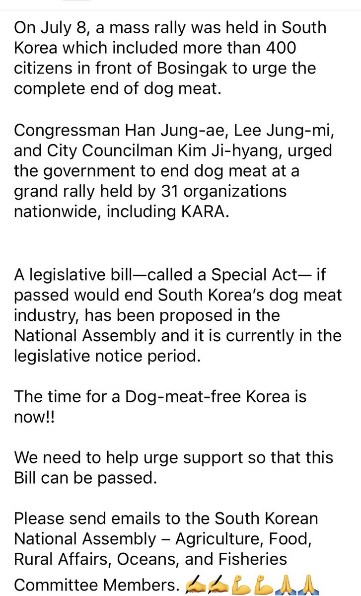 Please send emails to show your support for the ‘special act’ bill to be passed. This could be a turning point in #SouthKorea to finally END the #dogcatmeattrade. 
Please DM for email addresses and precedent letter to send. 🙏
#EndBokNal #SouthKorea