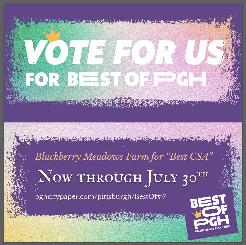 Blackberry Meadows tweet media