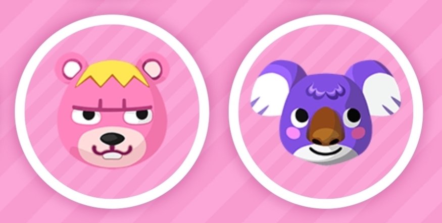 chris_bator's tweet photo. @Pocket_Camp Waiting for Vladimir and Sydney https://t.co/sIBv9SAK5y