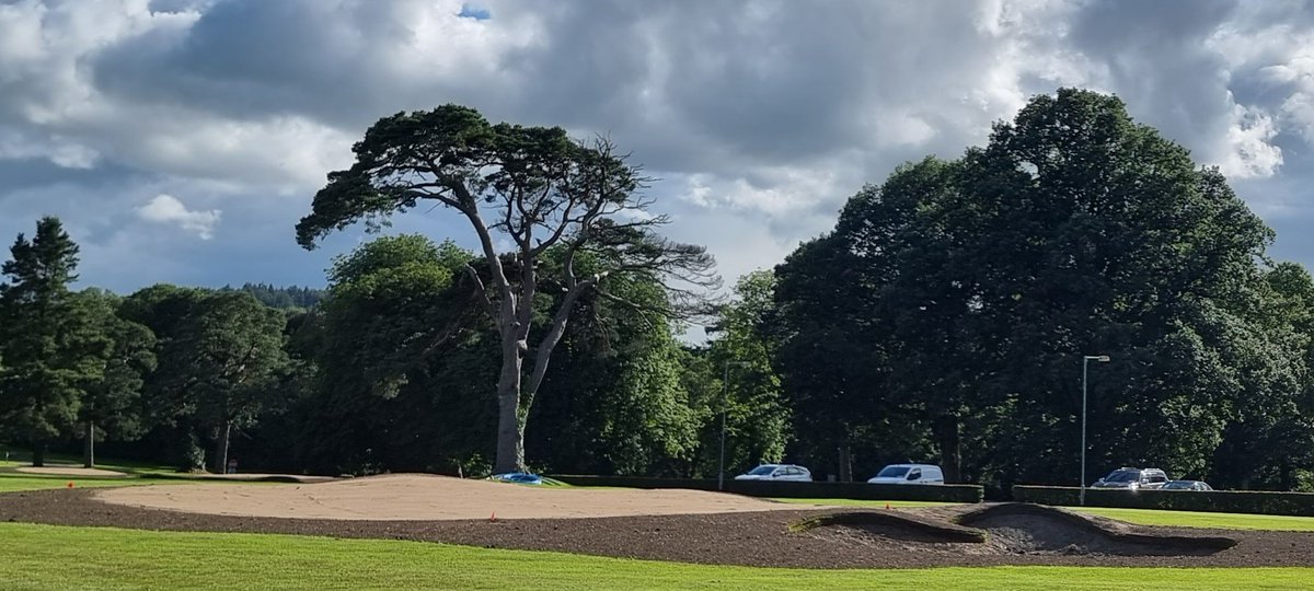 DARGolf Construction tweet media