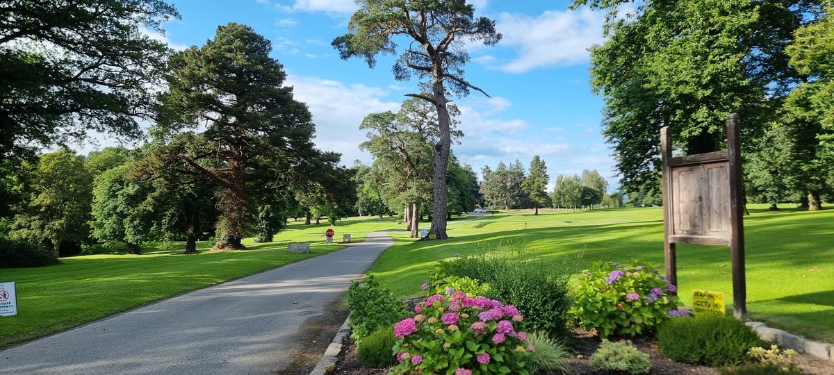 DARGolf Construction tweet media