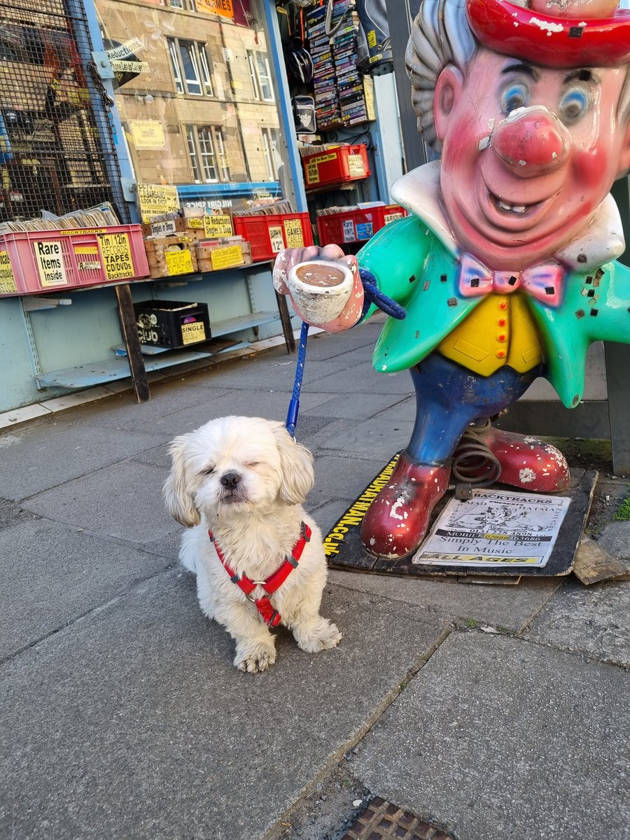 MadHatDJ/Backtracks Music shop tweet media