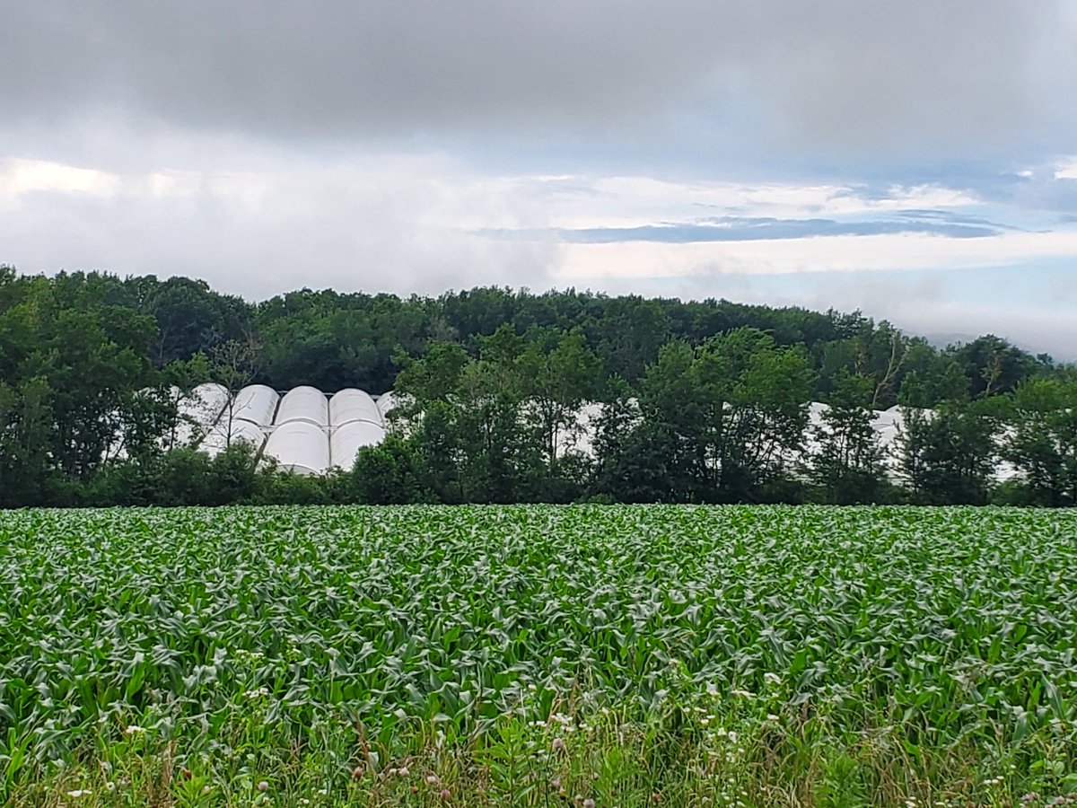 Judson Reid tweet media