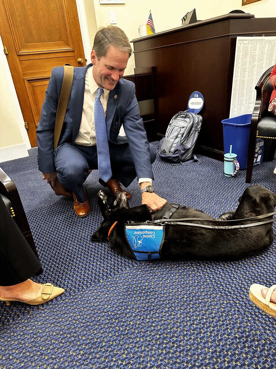 Yvette Goorevitch tweet media