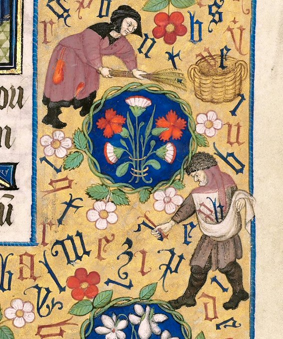 harvesting words, france, 15th century