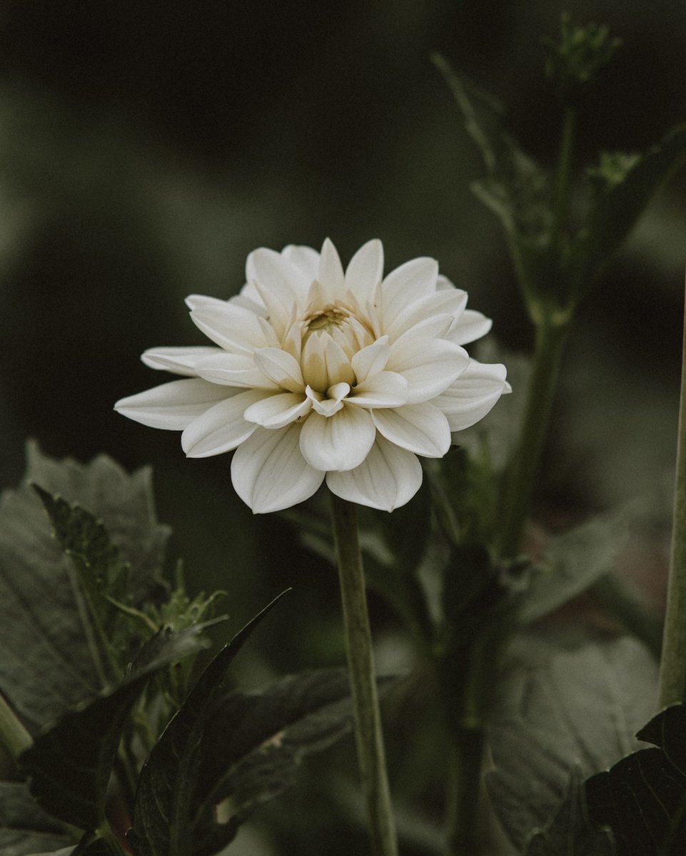 Kate Cullen Coaching & Photography tweet media