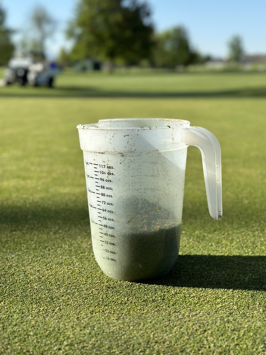 After struggling for months to get a PGR response from trinexapac we won!
At the advice of <a href="/spartangrass/">Sean Reehoorn</a> and <a href="/SPWrigt_kurt/">Kurt Wright</a> started with 2 oz/A Anuew. 
After initial yellowing and a sleepless night it mowed off beautifully and brought my clip yield from 64 fl oz/M to < 24!