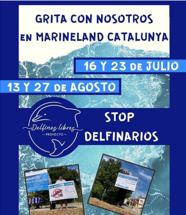 Gonerill43_Maki's tweet image. #Emptythetanks #Dolphins #BarcelonaSpain #Barcelona oceanosdevidalibre.org