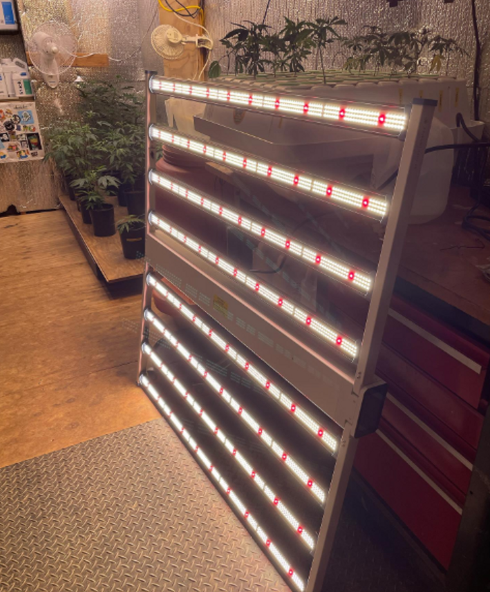 Tengri Lights tweet media