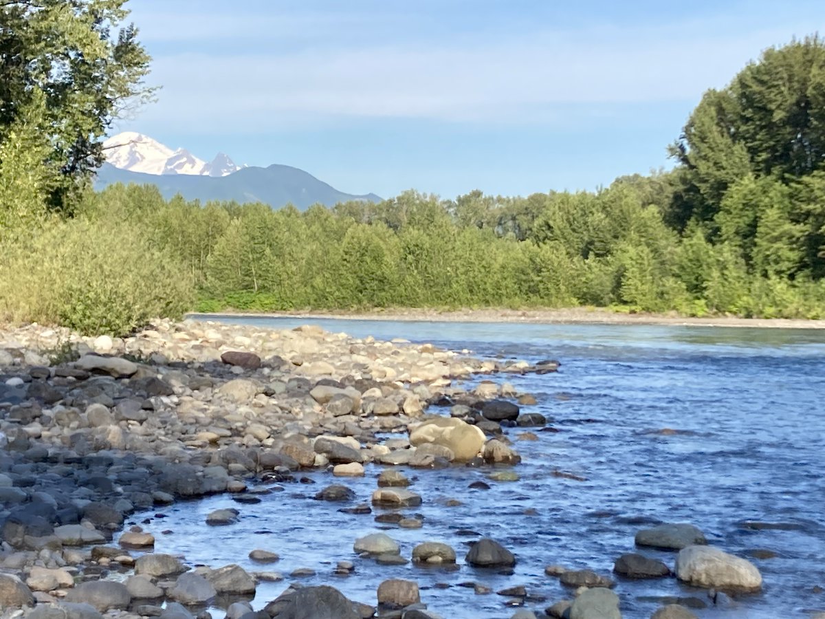 Curious about drought? Water rights? Adjudication? Every month we host a Water Resources Advisory Committee Meeting where we talk about all aspects of water supply management in Washington. Watch yesterday's meeting at youtube.com/watch?v=v1A881…