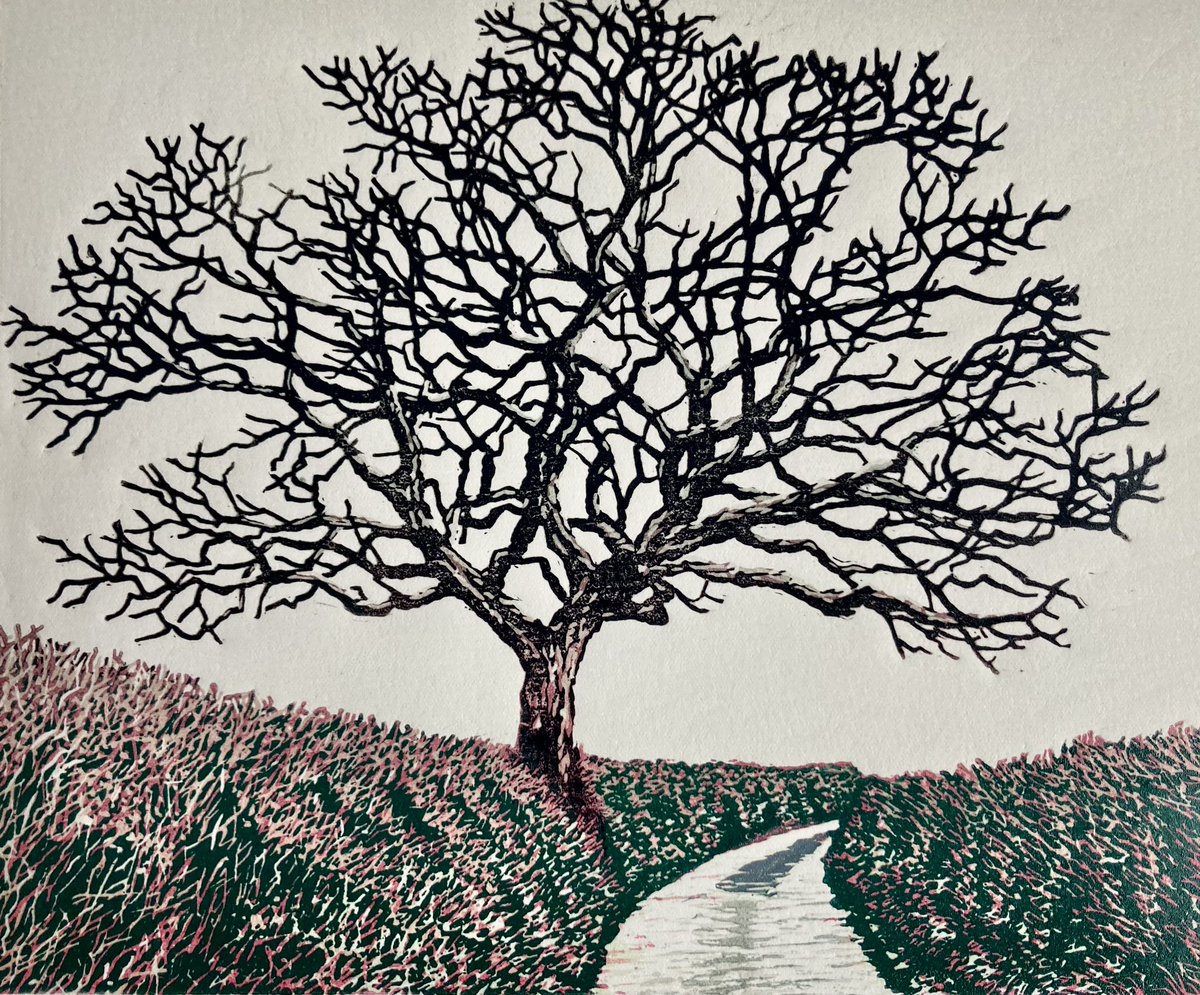 Just some final darks to add to this experimental reduction print. I was all ready to bin it a few colours back. 😊I’m more pleased now.. and am definitely going to do more reductions. It’s quite exciting! 😊