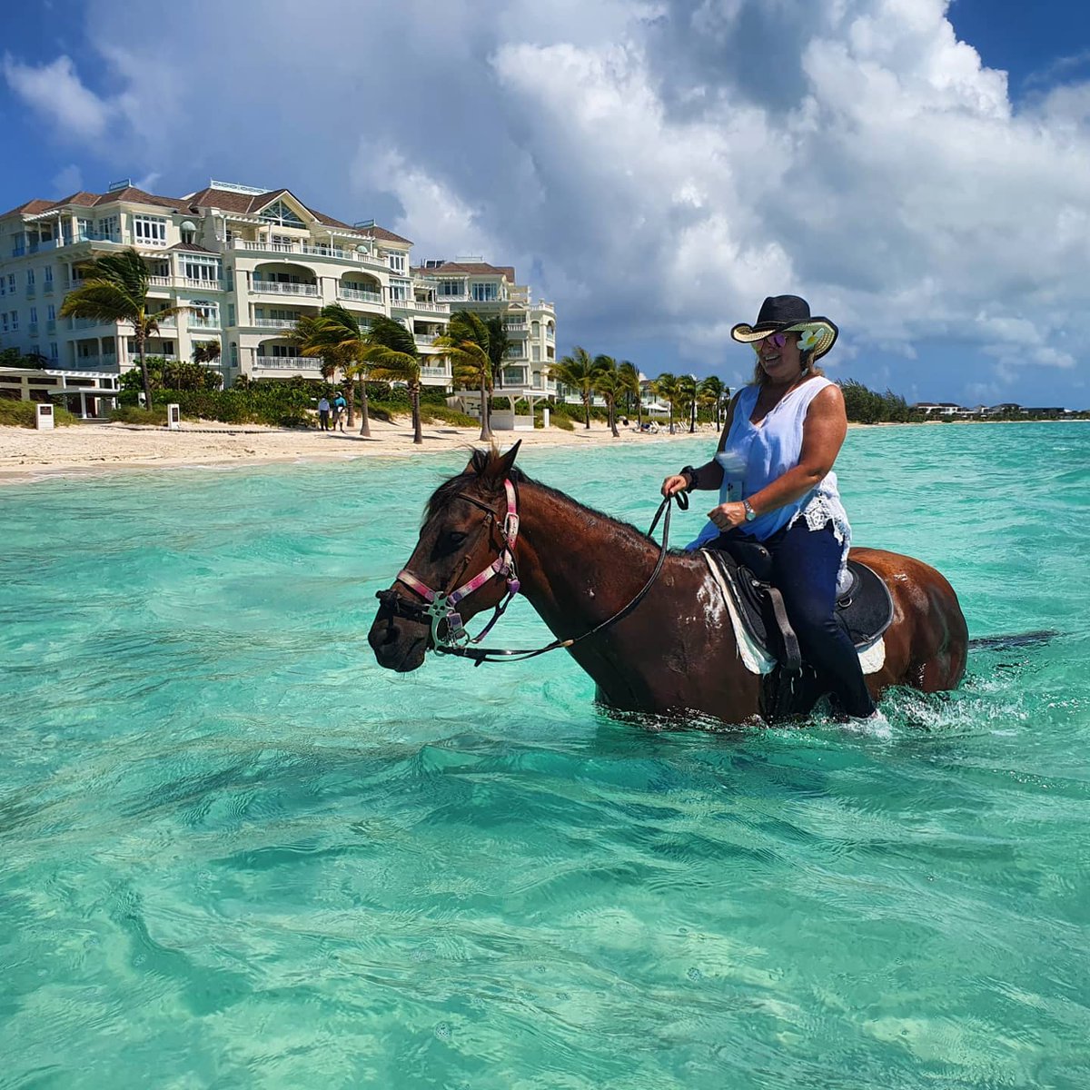 The Shore Club TC tweet media