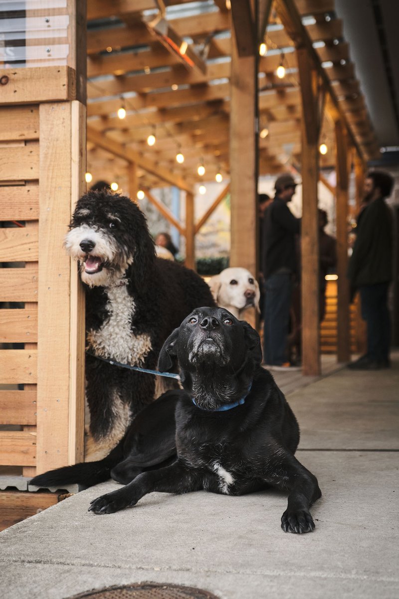 Haven't checked out our awesome patio yet? You're missing out!