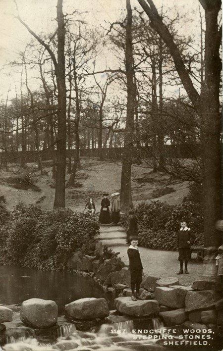 Sheffield Museums tweet media