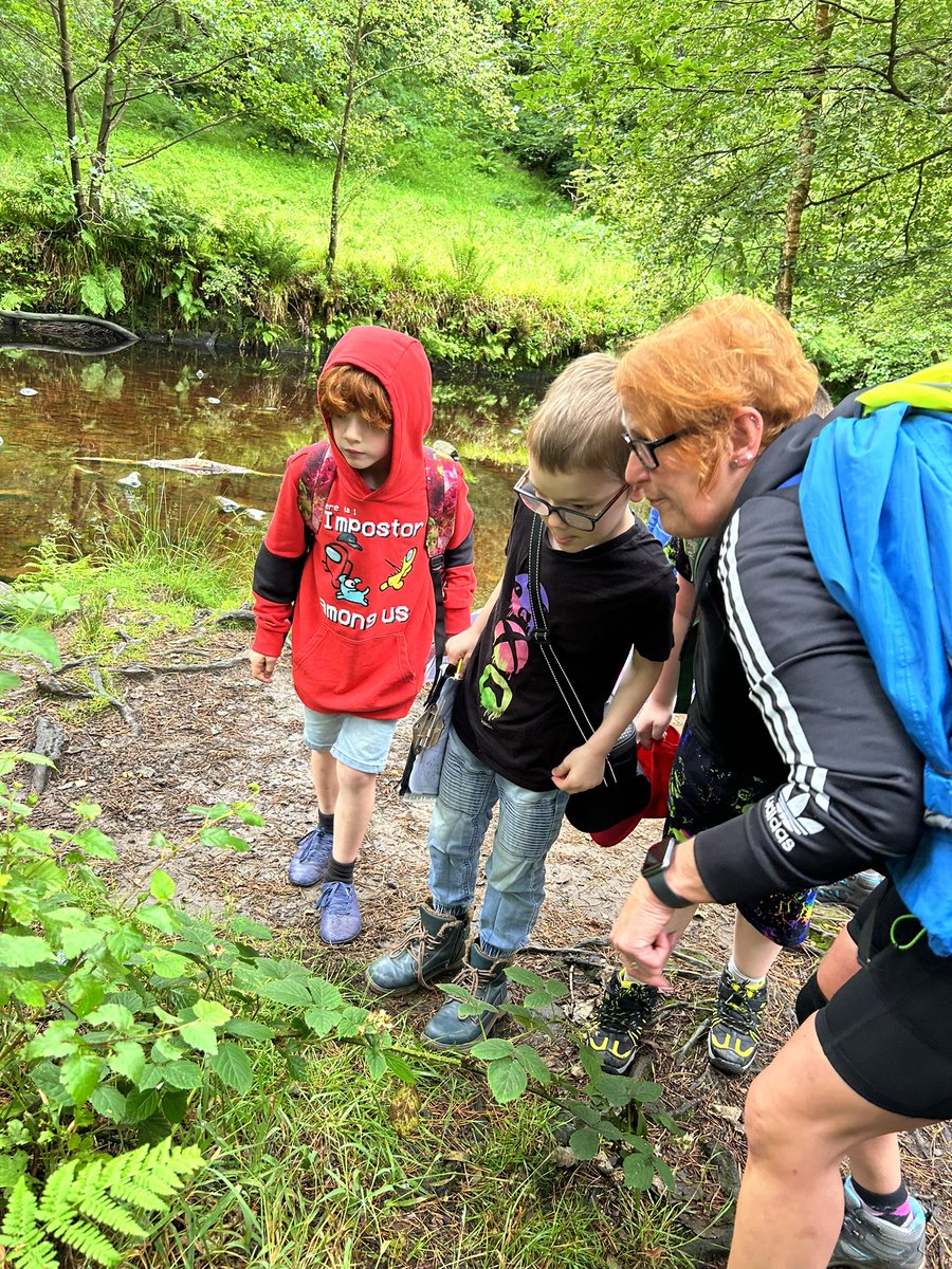 Shadeyear2 tweet media