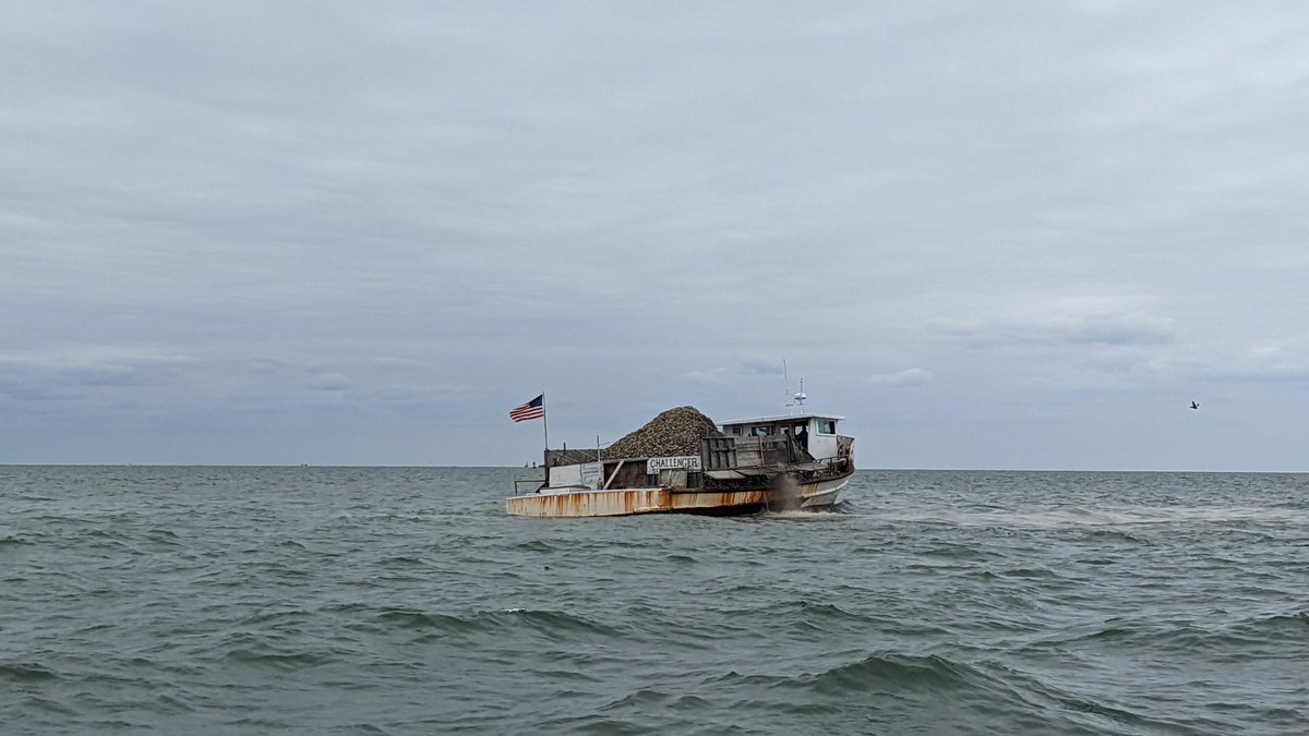 Oyster Recovery Partnership tweet media