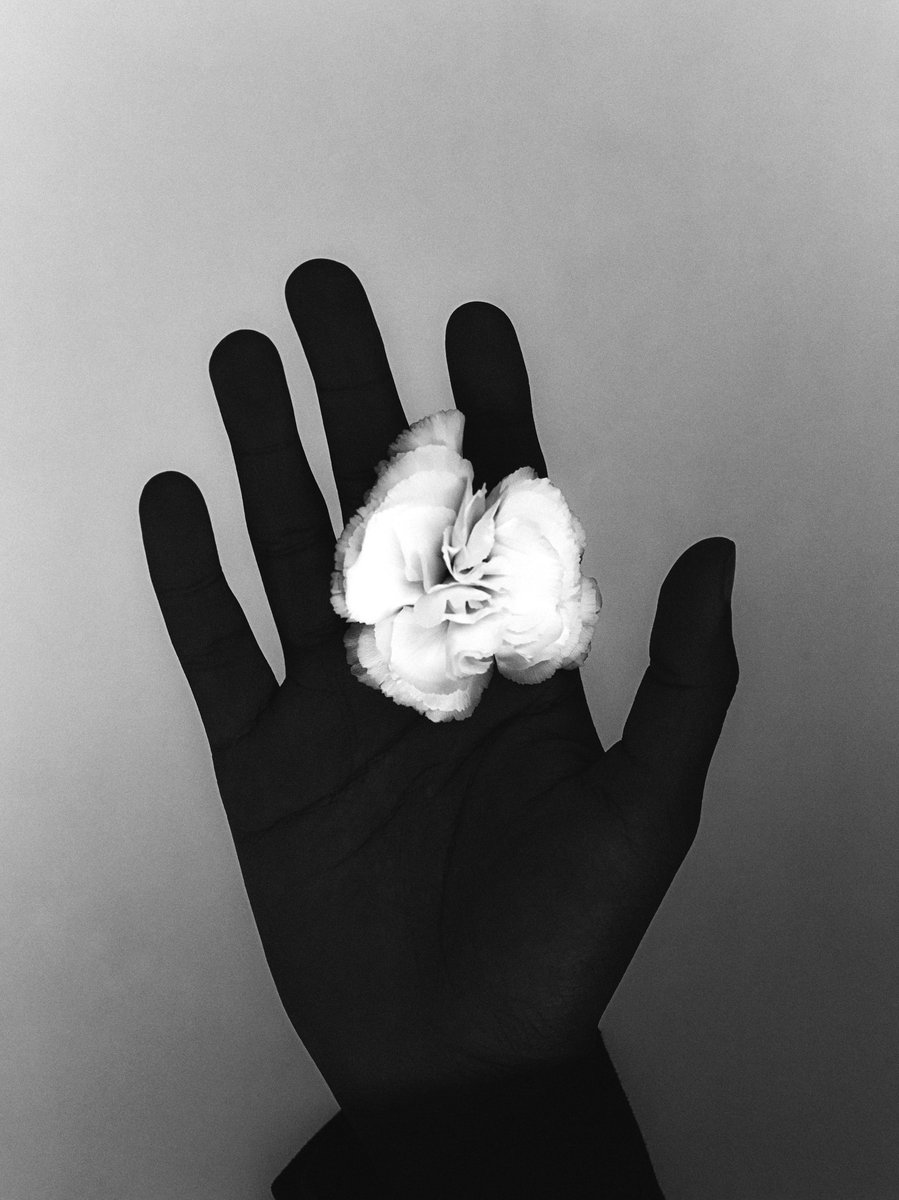 gm ☕️

Flee from the Shadow