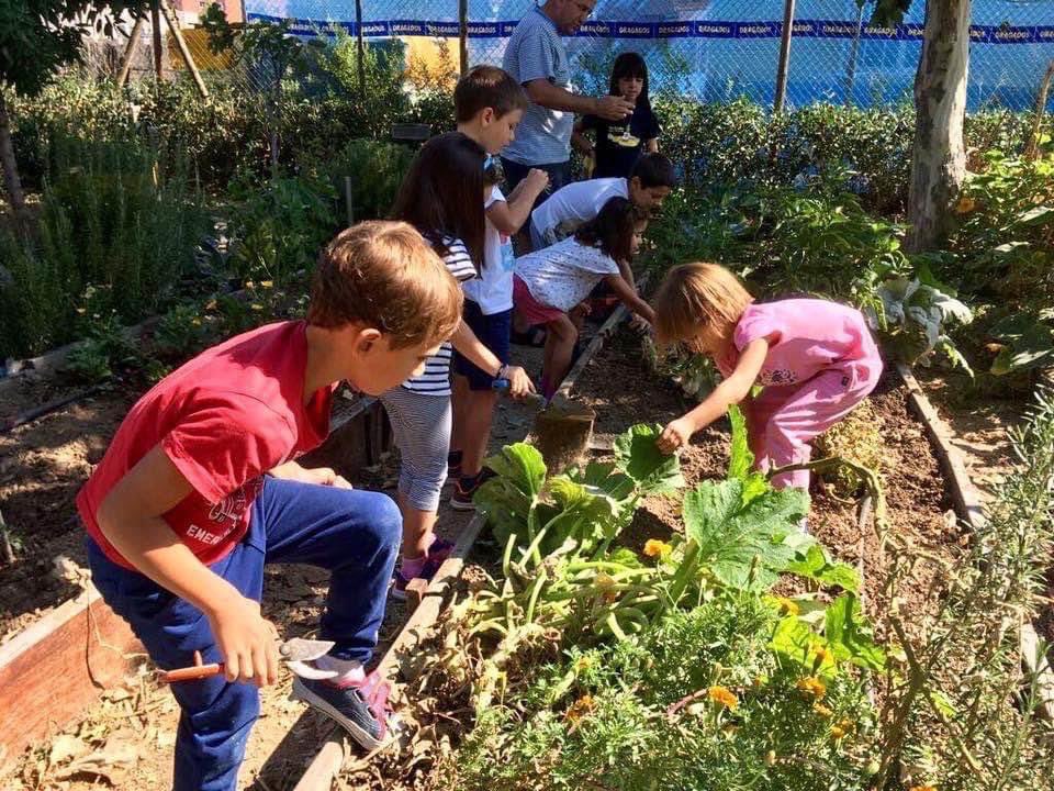 No todas las aulas tienen cuatro paredes 💚🌱