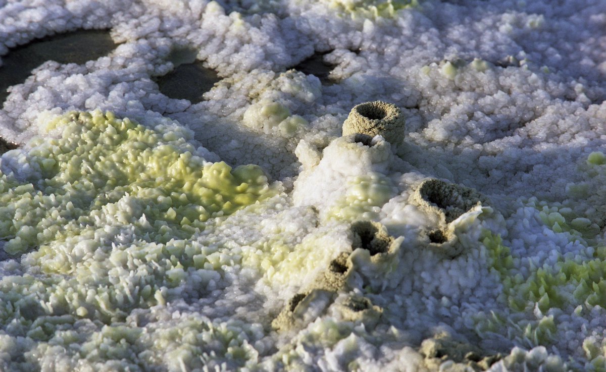 Exoticethiopian's tweet photo. The Danakil Depression is a mesmerizing natural wonder in Ethiopia, known for its otherworldly landscapes and extreme conditions. https://t.co/jzcPkqBBD7
Join me in my upcoming lifetime expeditions to the Danakil Depression!
#Saveyourdates #BookYourAdventure #Geotourism https://t.co/BkjHafwmKr