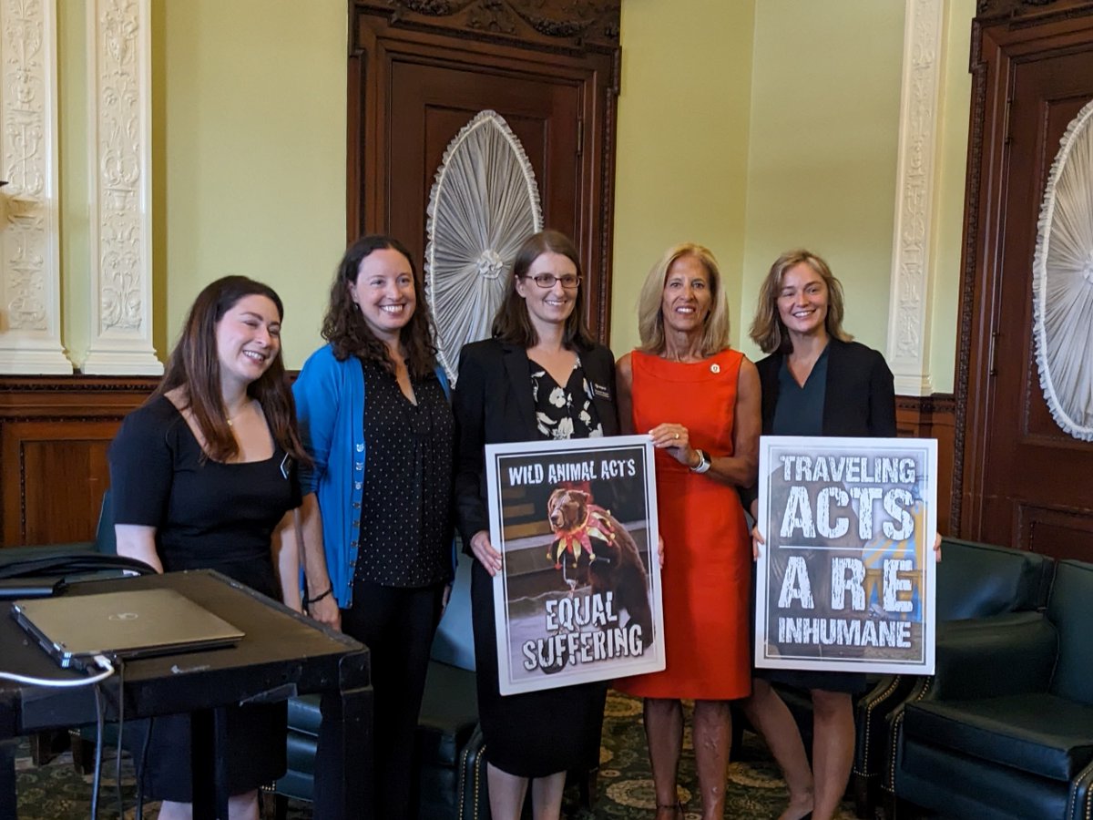 FOURPAWSUSA's tweet photo. Today FOUR PAWS’ Research &amp; Campaigns Officer spoke at the MA State House to advocate for the passage of the Cruelty in Traveling Wild Animal Acts. These #animals endure neglect, abusive training, and prolonged confinement &amp; they deserve better!
#animalwelfare #circusanimals https://t.co/2c39LZv3GN