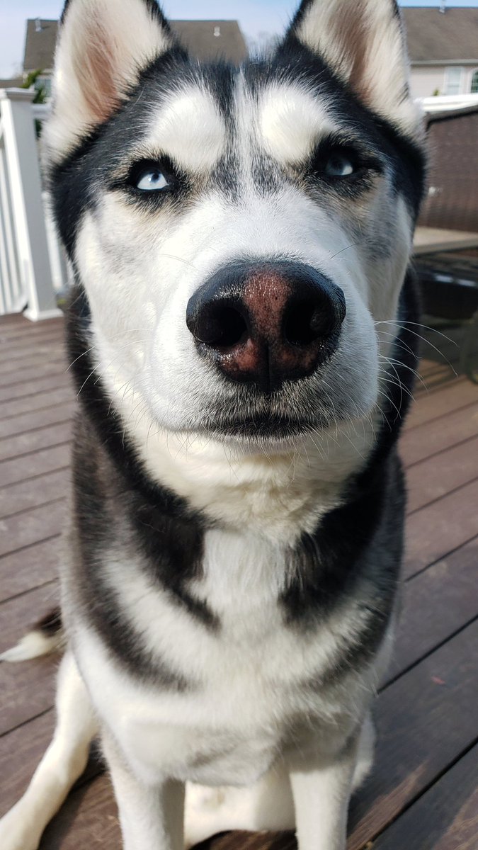 Smolantha tweet media