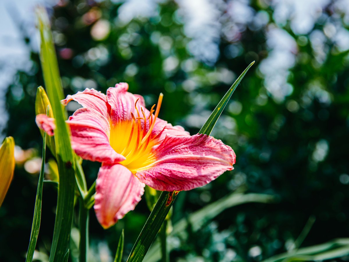 Mizzou Education & Human Development tweet media