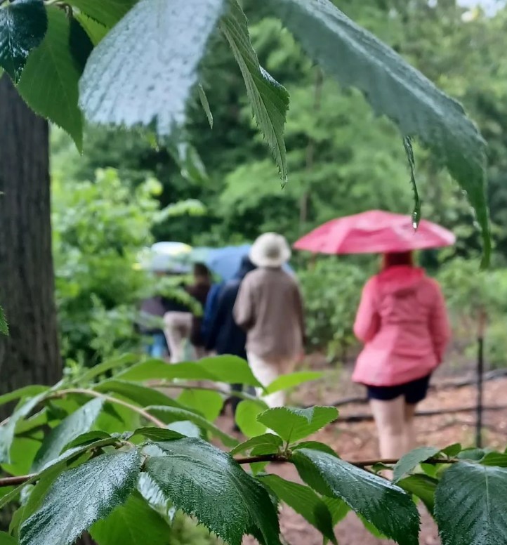 Thank you to everyone who came out to support our 2023 festival! We hope to have left you inspired.

To further support this work, visit our website to make to make a donation to the EcoVoice Project.
paypal.com/donate/?hosted…