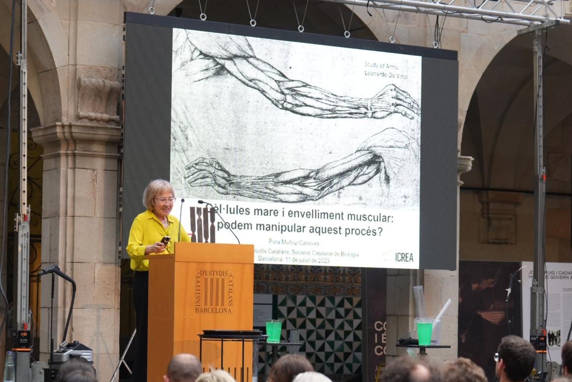 SCB_iec's tweet image. 🏆Fem entrega del #PremiSCB2023 Leandre Cervera a la #TrajectòriaProfessional a la Dra. Pura Muñoz-Cánoves, per la seva recerca innovadora i de qualitat reconeguda internacionalment en l’àmbit de la regeneració muscular i l’envelliment @altos_labs

#NitBio2023 #PremisSCB2023