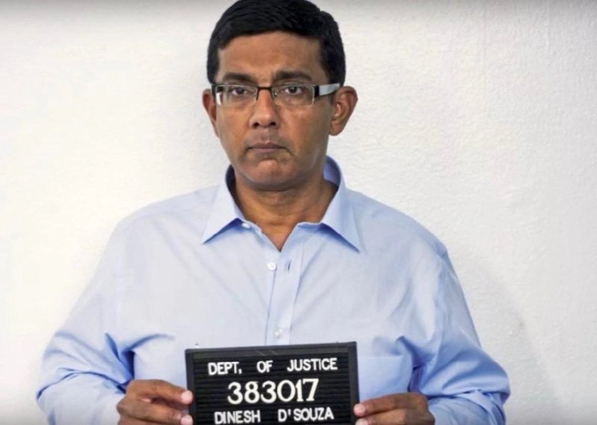 bluver41's tweet photo. @DineshDSouza Felon. https://t.co/IJT3d5wH26