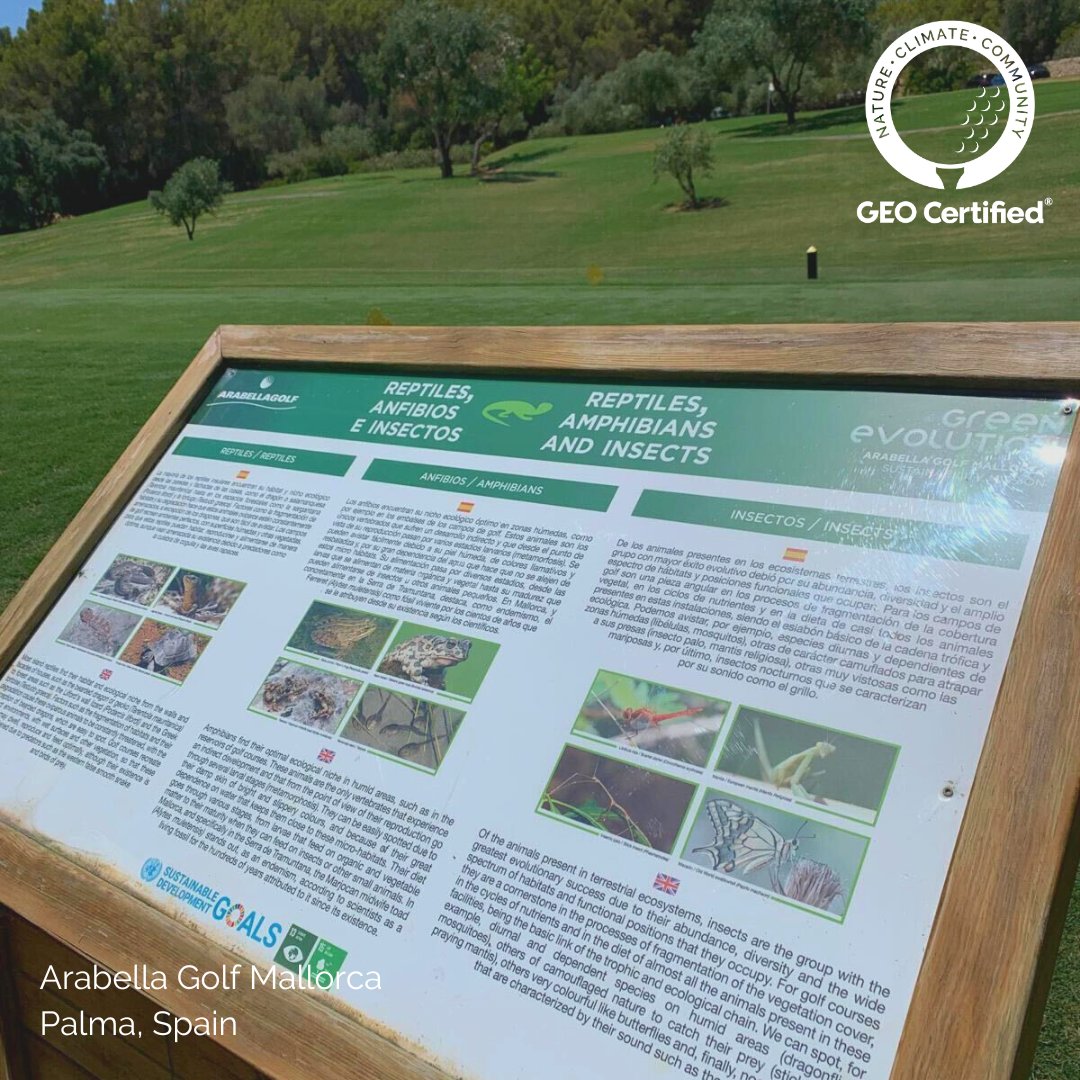 sustainablegolf's tweet photo. It was great to visit the recently GEO Certified® Arabella Golf Resort and meet the wonderful team! Their passion for wildlife management can be found displayed throughout the course, which is also irrigated with 100% regenerated water👏

#ForSustainableGolf
@arabellagolfmca https://t.co/zNTm1aVrO8