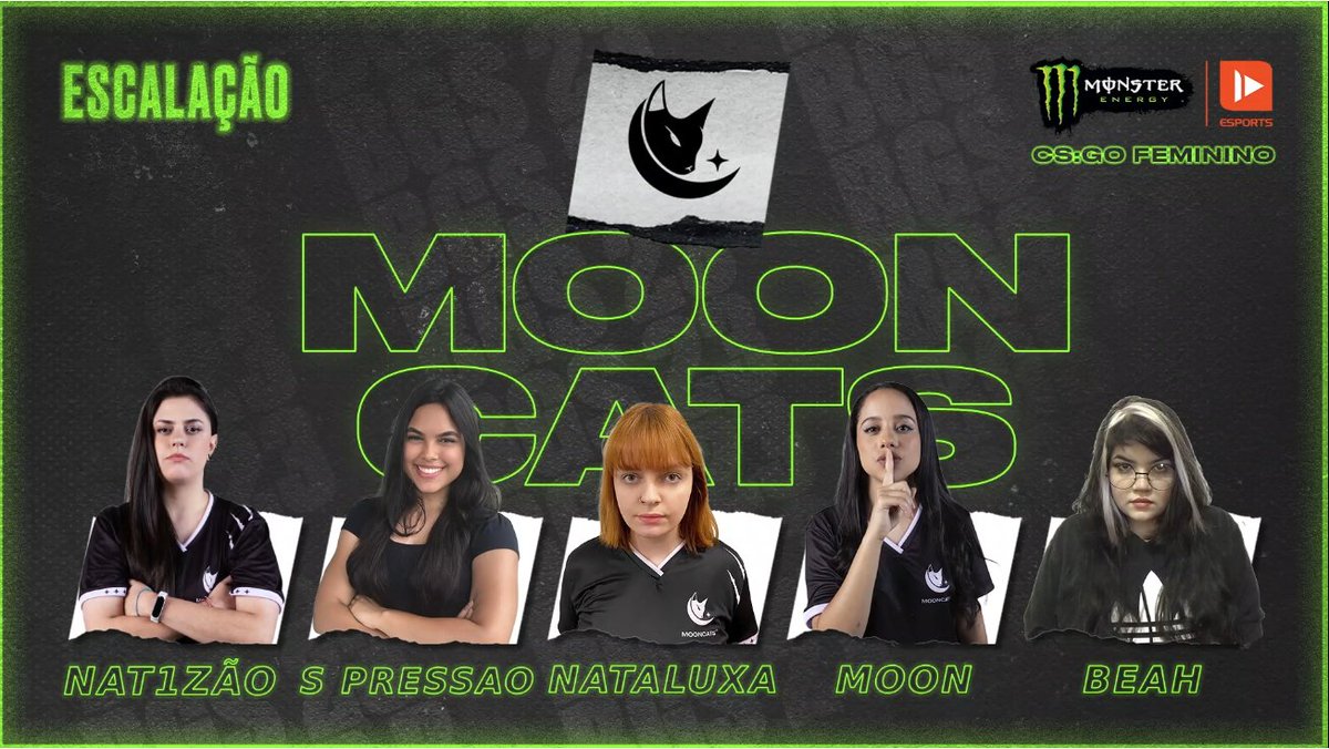 MoonCats tweet media