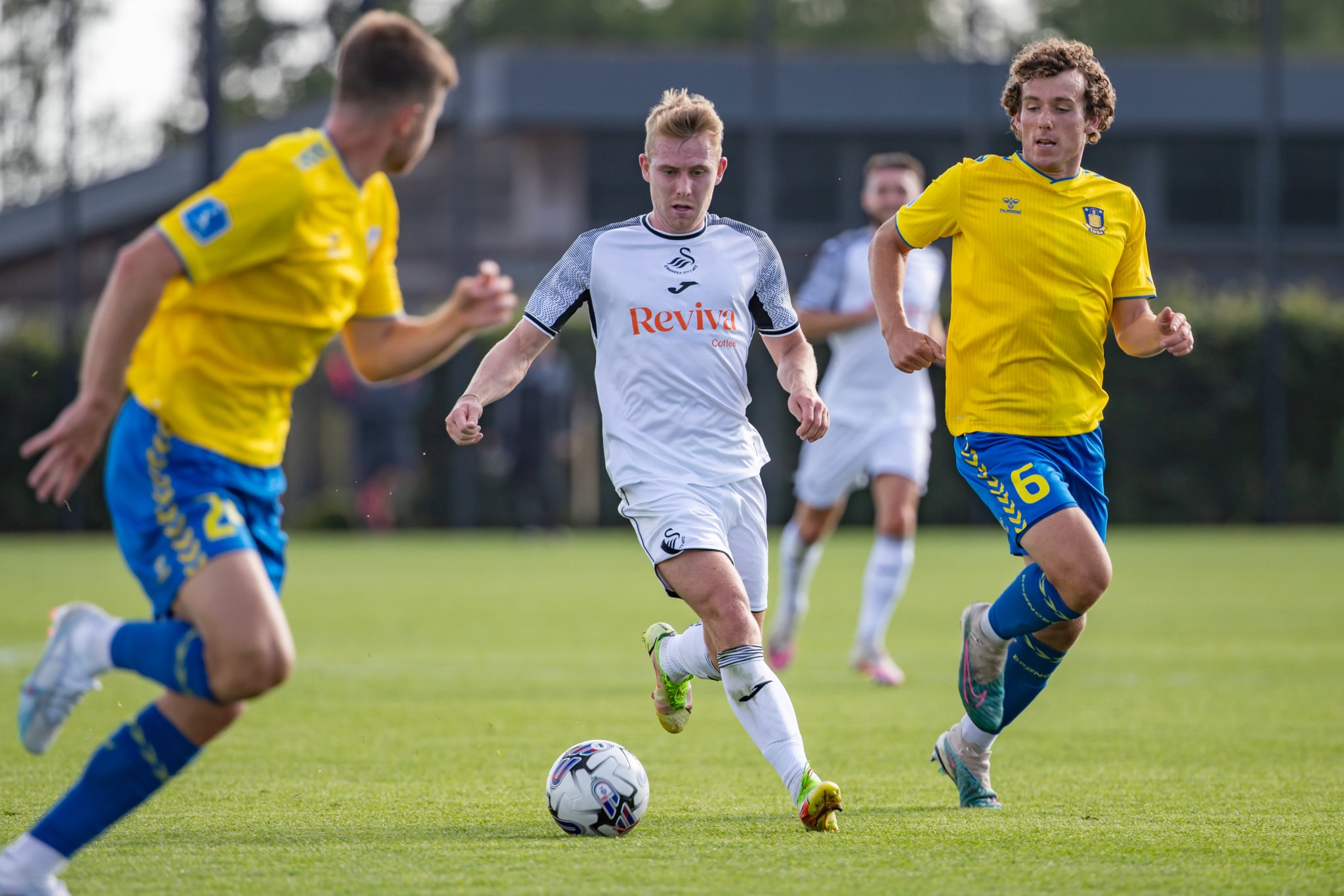 Swansea City AFC on Twitter: 