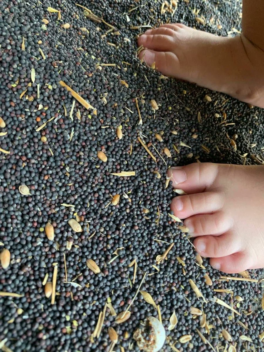 Despite the youth of our feet, we move fast and steadily.
We’re still learning, and we’re still paving the way for global digital grain trading.

#b2bmarketplace #grainindustry #graintrade #foodsupply #agtechnology #togetherforsuccess